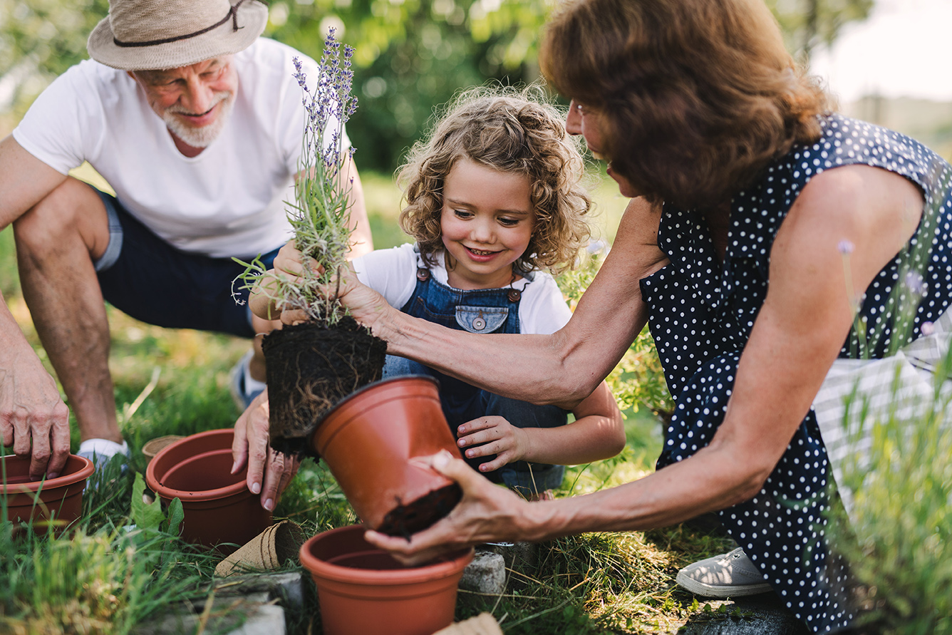 Explore Estate Planning Management | Asset Financial Planners